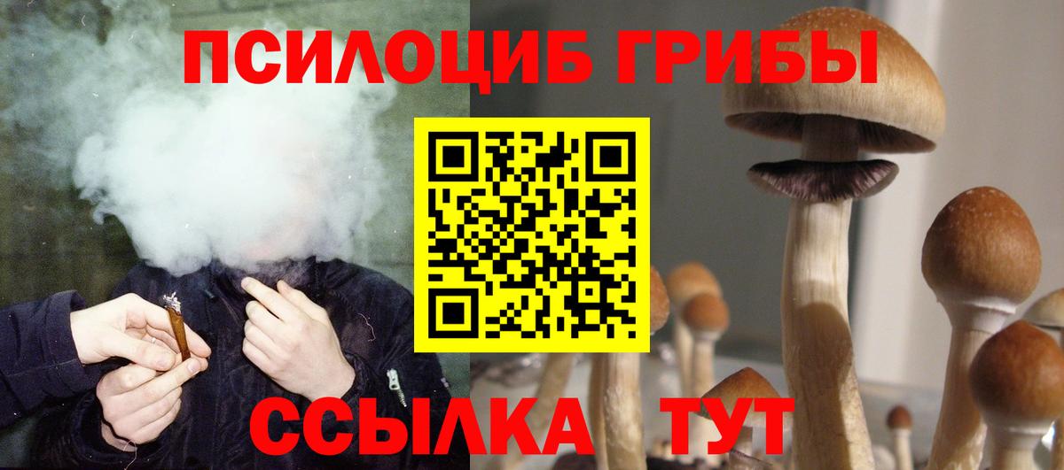 Псилоцибиновые грибы Magic Shrooms Абакан